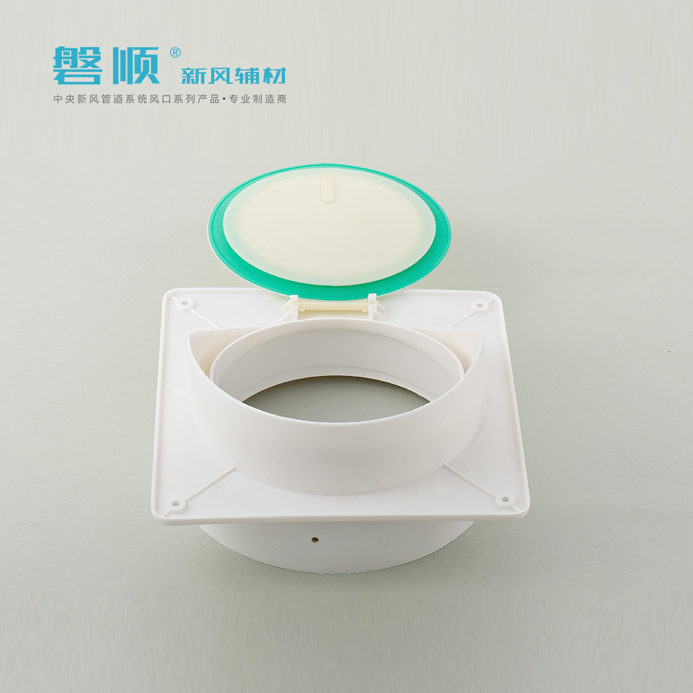 磐顺大ABS止回阀